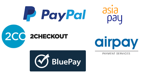 Credit Card Processing Or Payment Gateway Options